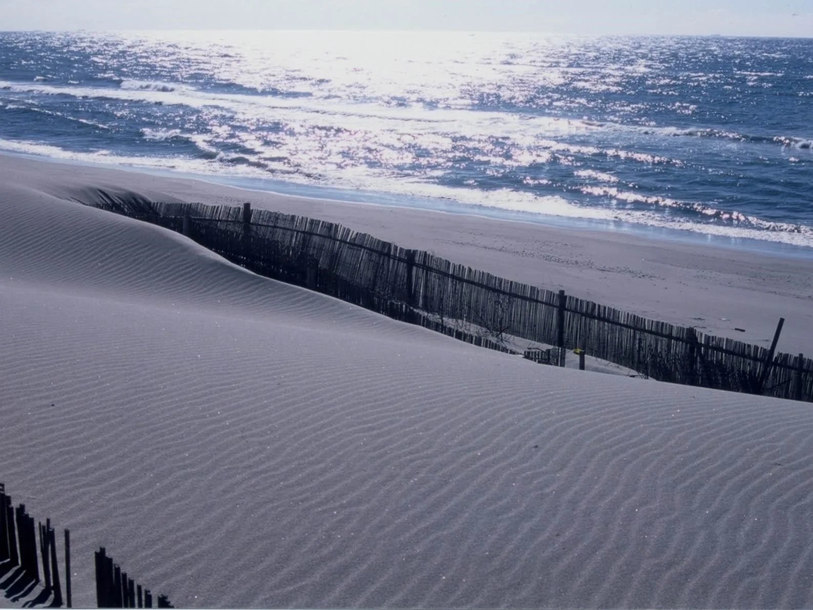 🏞️ 하마오카 사구 이미지 1